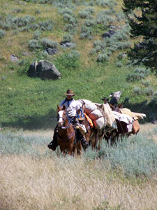 USA-Montana-Yellowstone Pack Trips